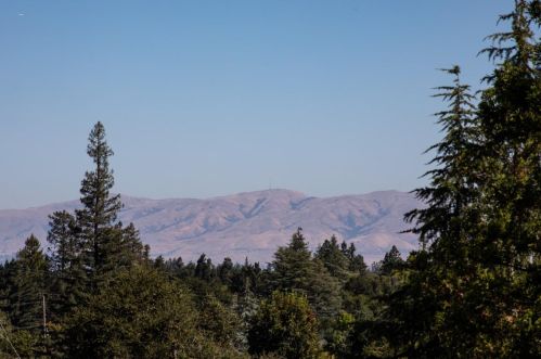 1475 Country Clb Dr, Los Altos CA 94024-5904 exterior