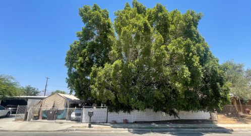 50660 Calle Mendoza, Coachella, CA 92236-1977