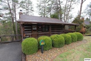 509 Walnut Way, Pigeon Forge, TN 37862-2733