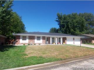 313 Fredericksburg Dr, Belleville, IL 62223-3417