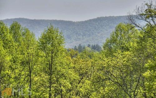 113 Cohutta View Rd, Epworth, GA 30541-2855