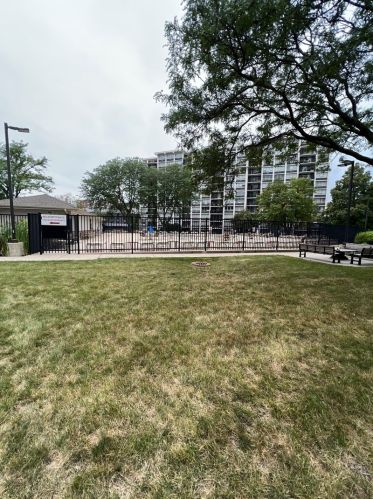 8809 Golf Rd, Niles IL  60714-5707 exterior