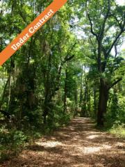 195 Spring Island Dr, Bluffton, SC 29909-4088
