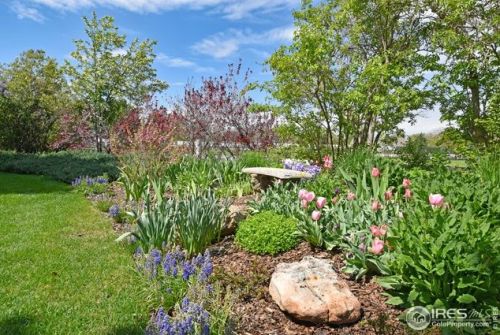 7811 Walden Cir, Fort Collins CO  80528-8904 exterior
