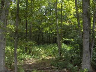 34 Booker T Washington Cir, Gardens Corner, SC 29945-7604