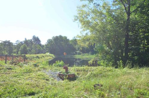 31 Water St, Bradford, NH 03221-3318