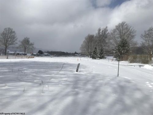 16 Cessna Ln, Canaan Valley, WV 26260
