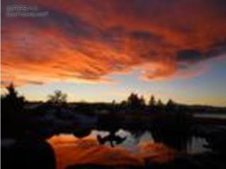 1903 Seadrift Dr, Fort Collins CO  80550-3552 exterior