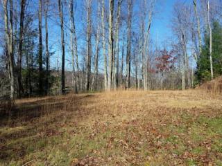 518 Ray Simerly Rd, Hampton, TN 37658-3821