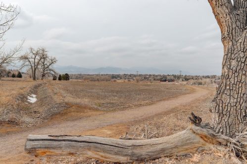 12859 55th Pl, Arvada CO  80002-1338 exterior