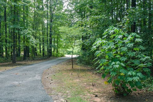 82 Rose Creek Rd, The Rock, GA 30285-2428