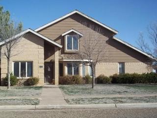 502 Homestead Ave, Lubbock, TX 79416-3314