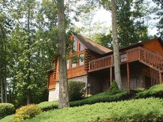 484 Thomas Bridge Rd, Thomas Bridge, VA 24354-6999