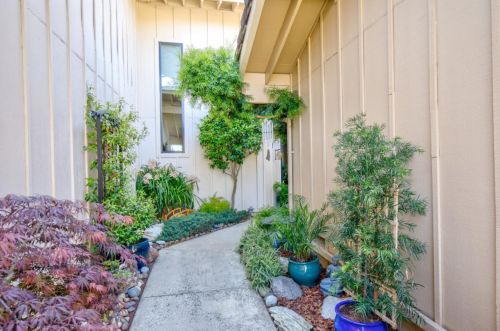 17 Calypso Ln, San Carlos, CA 94070-1516
