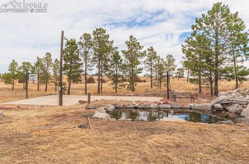 12955 Lariat Cir, Black Forest CO 80106-9024 exterior