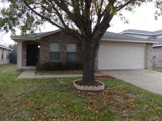 8724 Hunters Creek Dr, Fort Worth TX  76123-2546 exterior