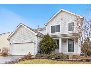 1538 Somerfield Dr, Lemont IL  60490-3130 exterior
