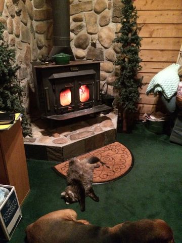 1645 Doe Valley Rd, Guffey, CO 80820-9618