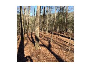 2698 Muller Ln, Ellijay, GA 30540