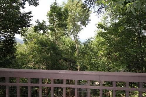 174 Sassafras Mtn Trl, Big Canoe GA  30143-7970 exterior