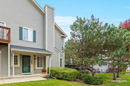 19 Windsor Cir, South Elgin, IL 60177-1992