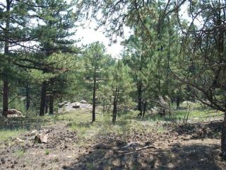 538 Wykagyl Rd, Horn Creek, CO 81252-9104