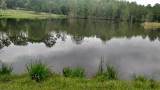 1151 Earl Day Rd, Ambrose, GA 31512-4243