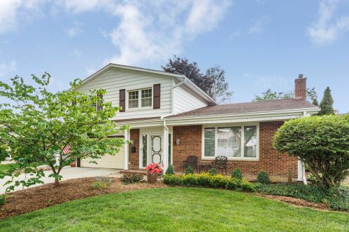 1102 Cherrywood Dr, Mount Prospect, IL 60056-4550