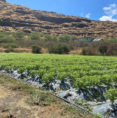 86-449 Puuhulu Rd, Nanakuli, HI 96792-2828