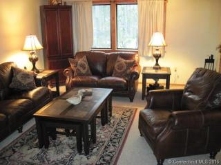 2 Highpoint Ct, Woodbury, CT 06798-3228