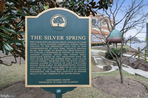 9820 Georgia Ave, Silver Spring MD 20902-5231 exterior