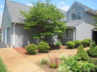 602 Fairwinds Ct, Forest, VA 24551-1064