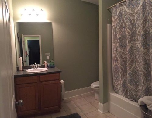 220 Coachwhip Ct, Big Canoe GA  30143-9304 exterior