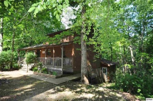 202 Parkline Way, Townsend, TN 37882-4318