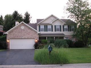 416 Stafford Ct, Third Lake, IL 60046