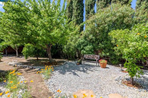 3381 El Monte Dr, Concord CA  94519-2806 exterior