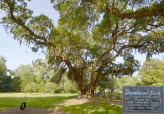 564 Pinckney St, Mcclellanville, SC 29458-9741