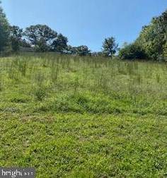 1715 William St, Fredericksburg, VA 22401-5234