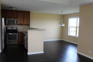 1064 Turin Dr, Pingree Grove IL  60140-5604 exterior