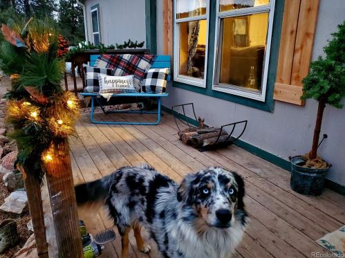 4573 Doe Valley Rd, Guffey, CO 80820-9686