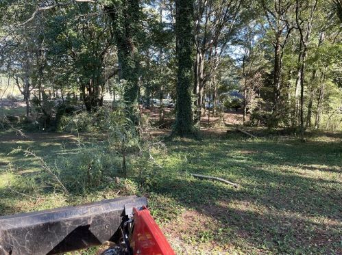 493 Moseley Dr, Stockbridge GA  30281-2907 exterior