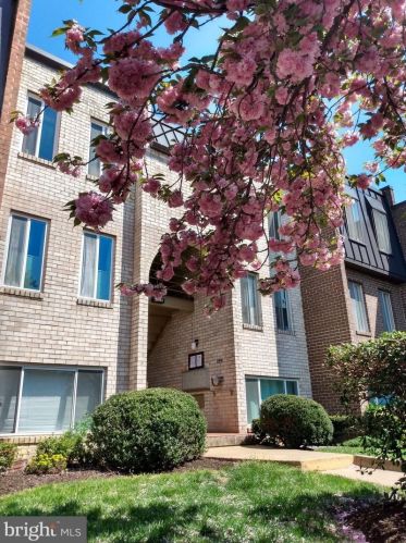 5041 7th Rd, Arlington, VA 22204-2572