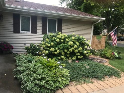 1014 Carlton Dr, Saint Paul MN  55126-8129 exterior
