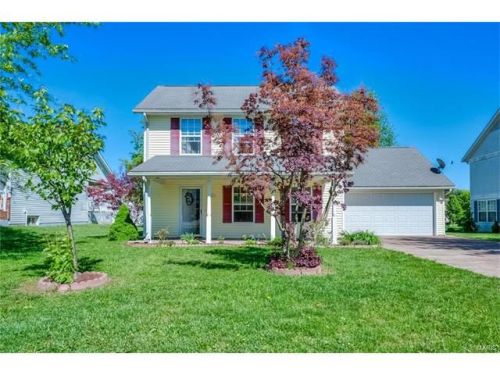 1217 Dolan Ln, Otterville, IL 62052-2734