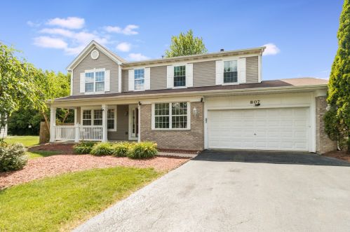 807 Livingston Ct, Naperville IL  60540-1945 exterior