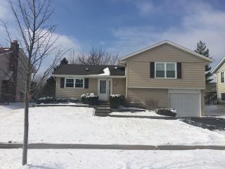 19850 Farmington Ln, Frankfort, IL 60423-8935