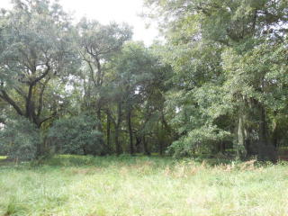 3 Polo Ln, Meggett, SC 29449