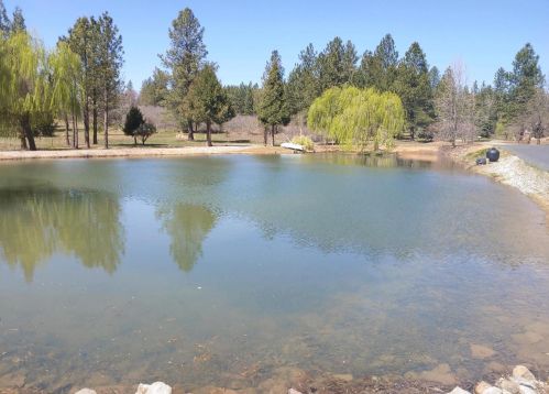 15080 Orchard Springs Rd, Grass Valley, CA 95945-9617
