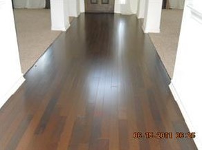 309 Camperdown Elm Dr, Austin TX  78748-4021 exterior