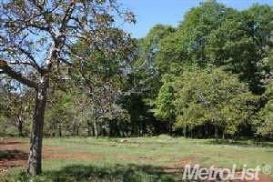 5730 Little Oak Ln, Michigan Bluff, CA 95631-9249